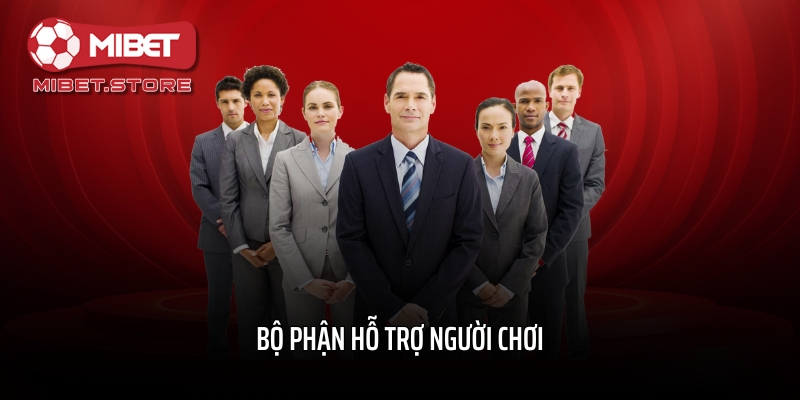 Bộ phận hỗ trợ người chơi