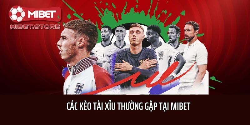 Các kèo tài xỉu thường gặp tại Mibet