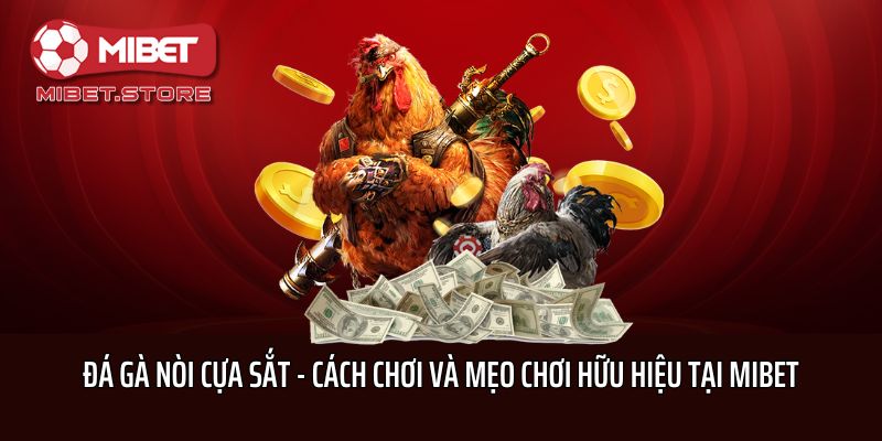 Đá Gà Nòi Cựa Sắt - Cách Chơi Và Mẹo Chơi Hữu Hiệu Tại Mibet