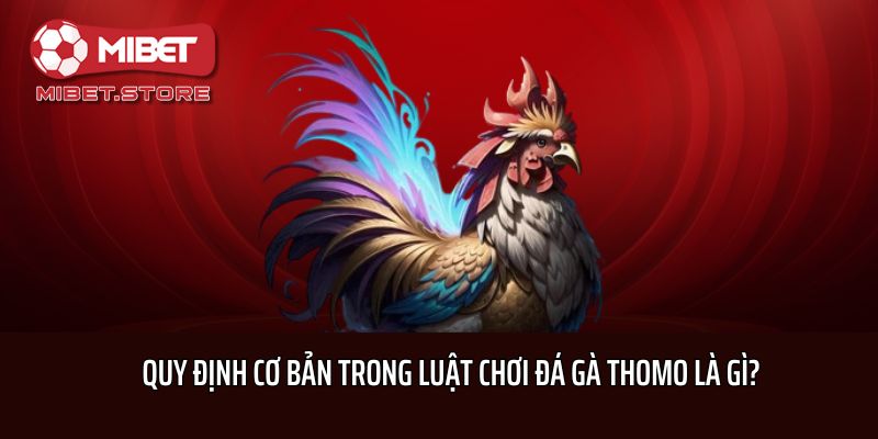 Quy định cơ bản trong luật chơi đá gà Thomo là gì?