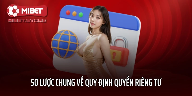 Sơ lược chung về quy định quyền riêng tư